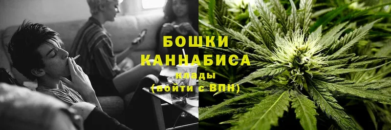 Бошки марихуана SATIVA & INDICA  Ярцево 